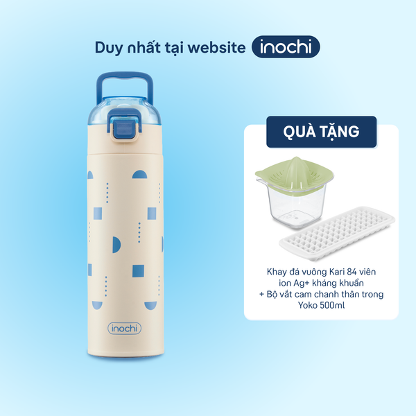  Bình giữ nhiệt Fuji Stead 