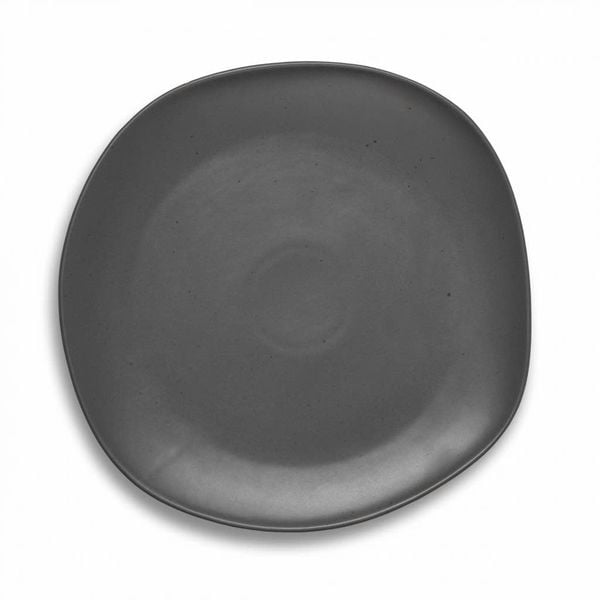  Đĩa phẳng Mori 27 cm 