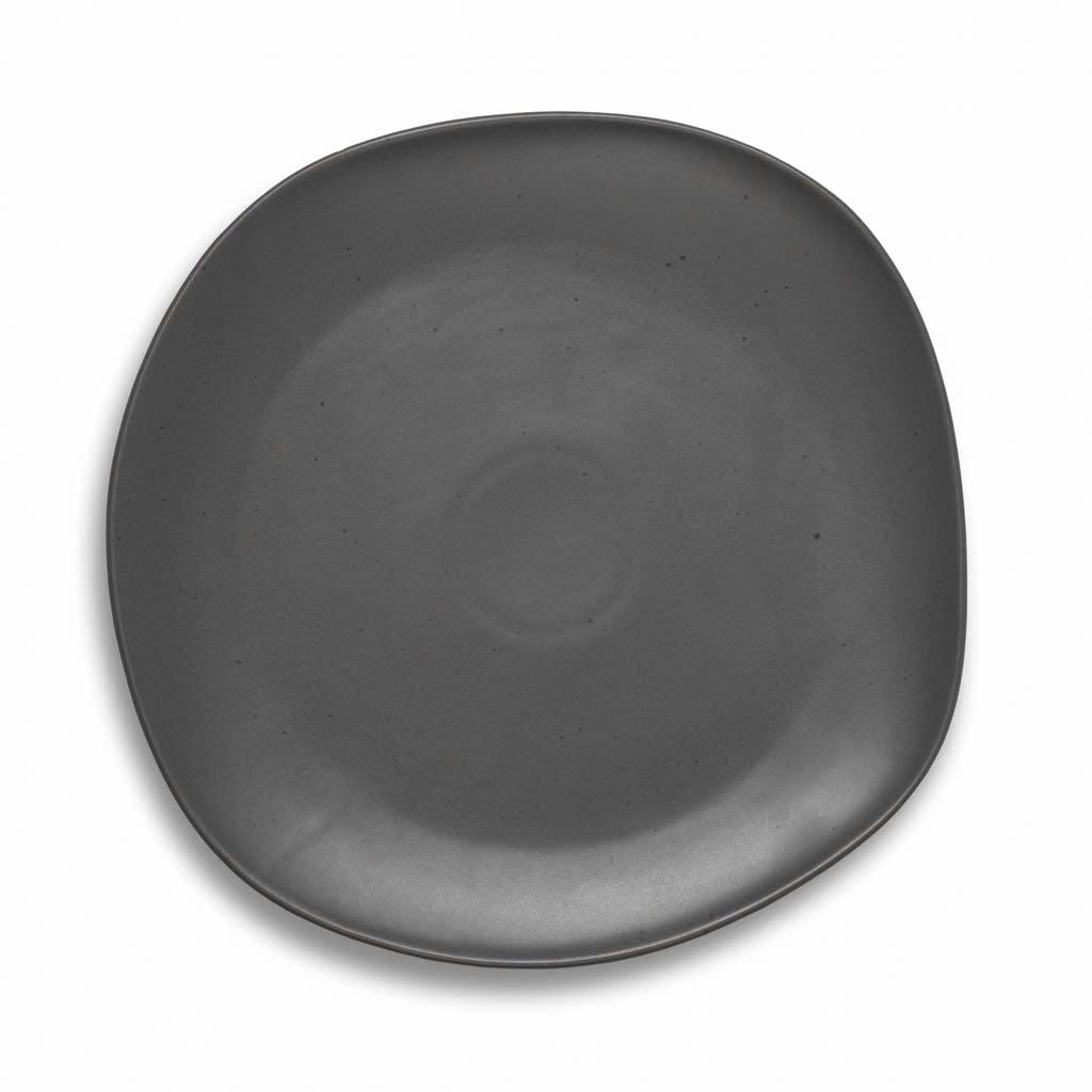  Đĩa phẳng Mori 27 cm 