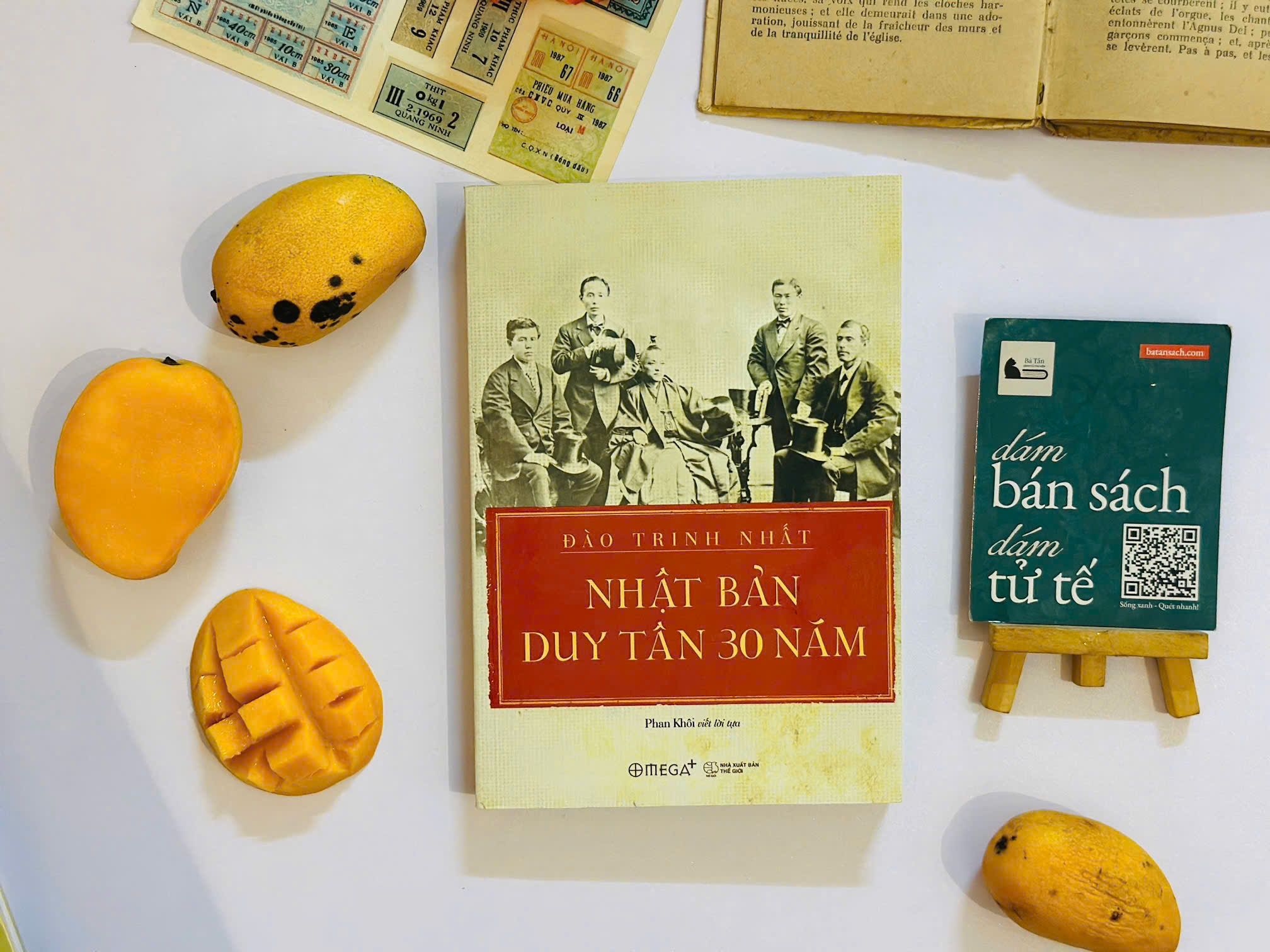  Nhật Bản Duy Tân 30 năm - Đào Trinh Nhất 