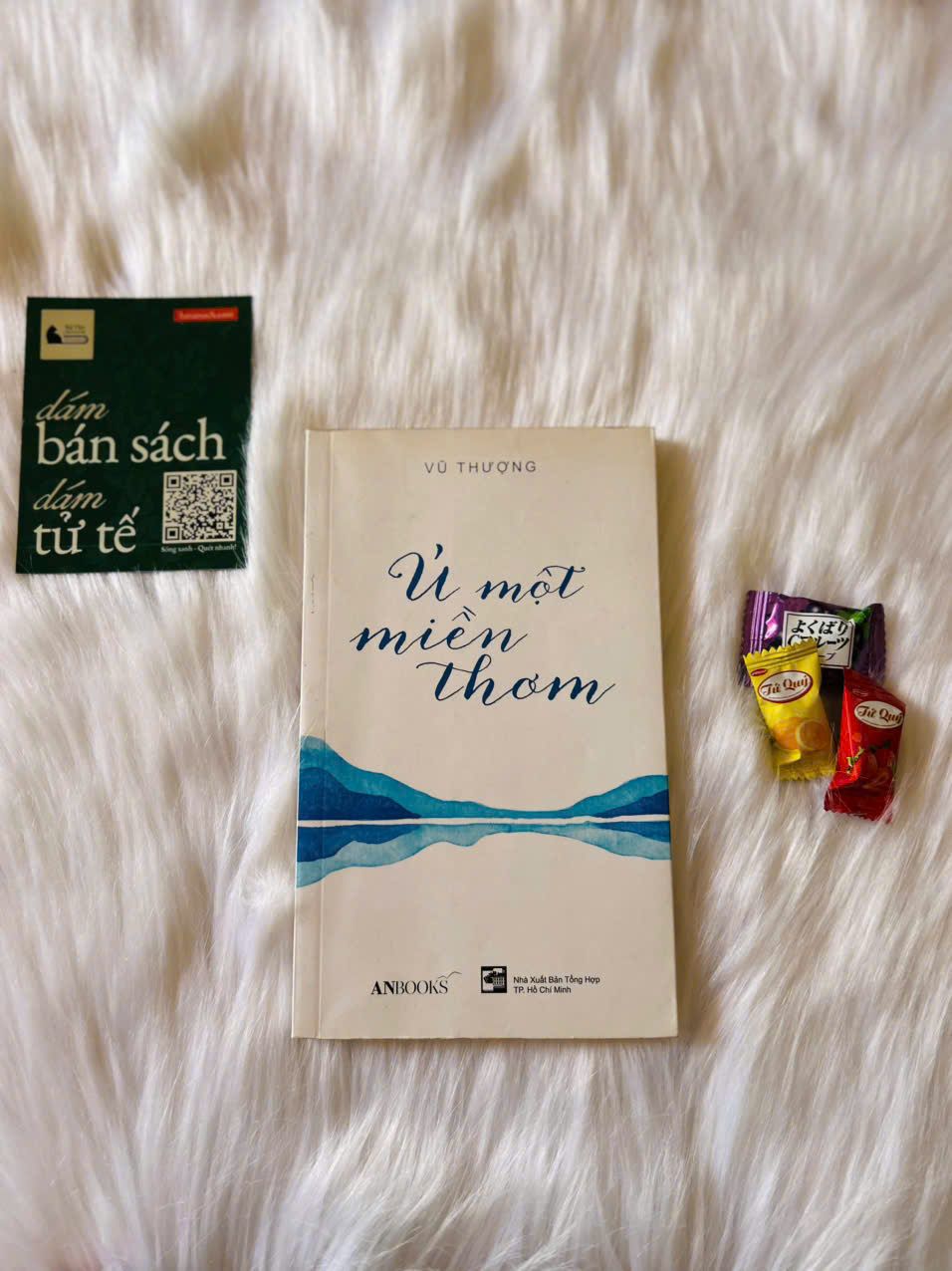  Ủ một niềm thương - Vũ Thượng 