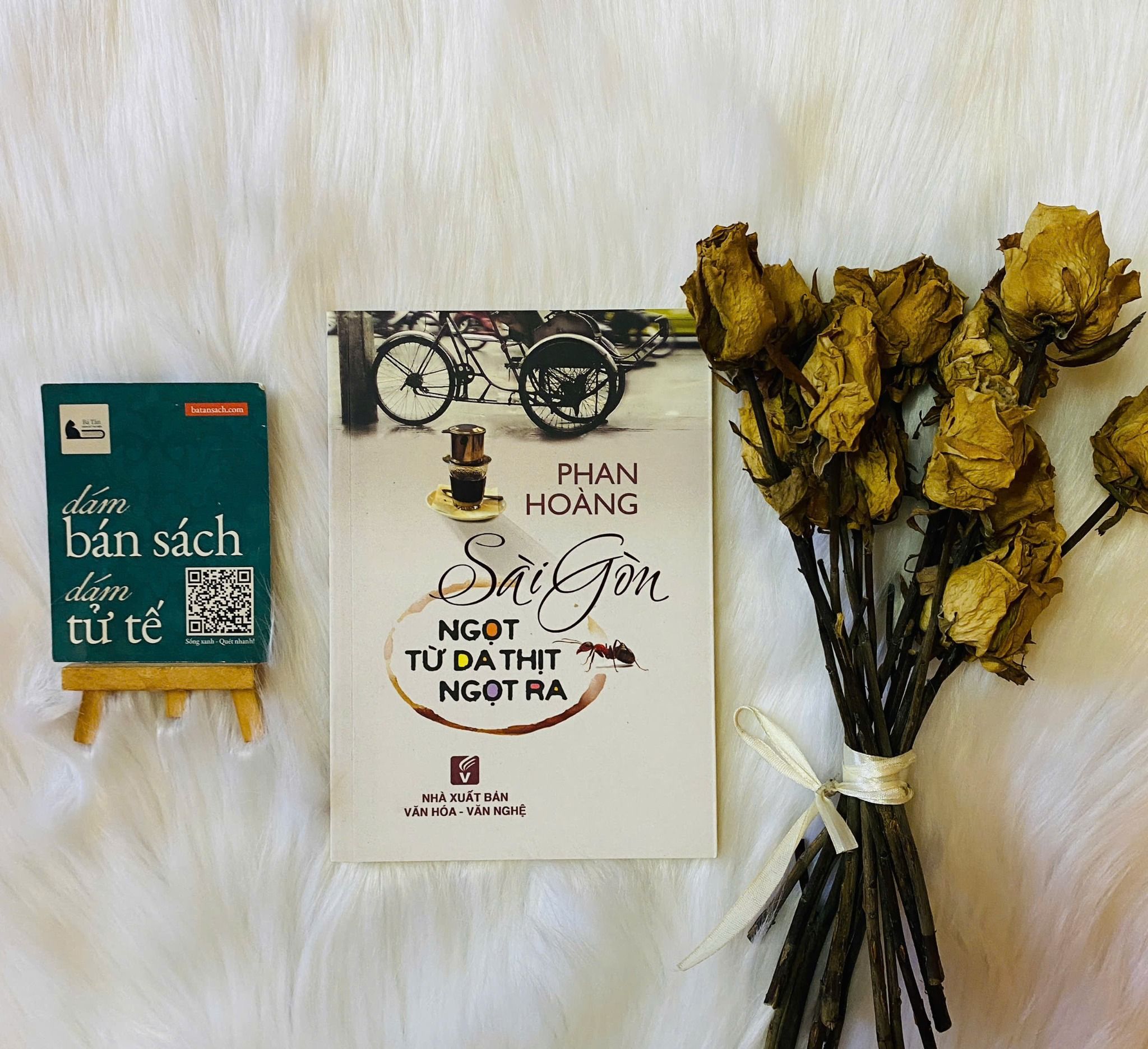  Sài Gòn ngọt từ da thịt ngọt ra - Phan Hoàng 