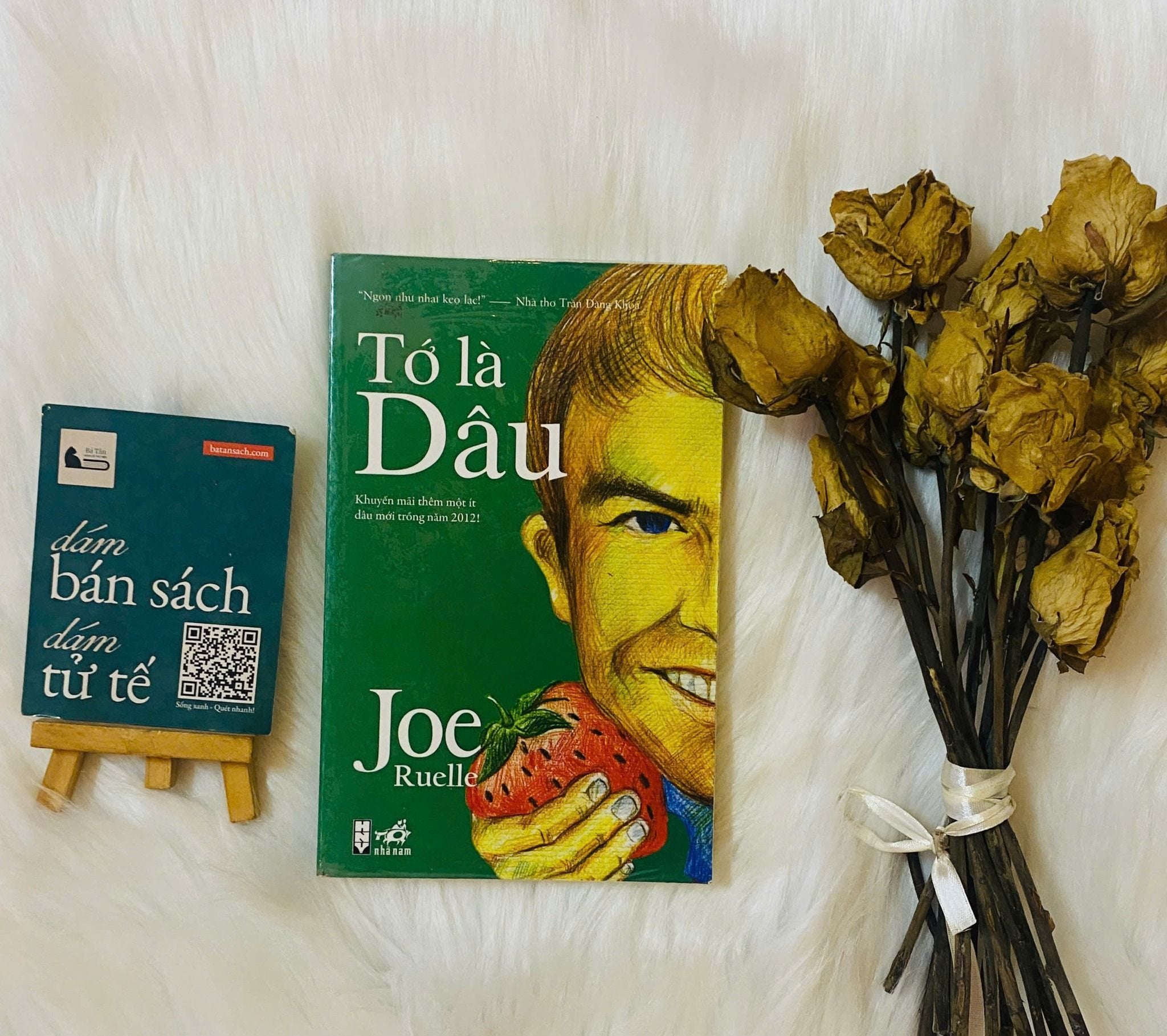  Tớ là Dâu - Joe Ruelle 