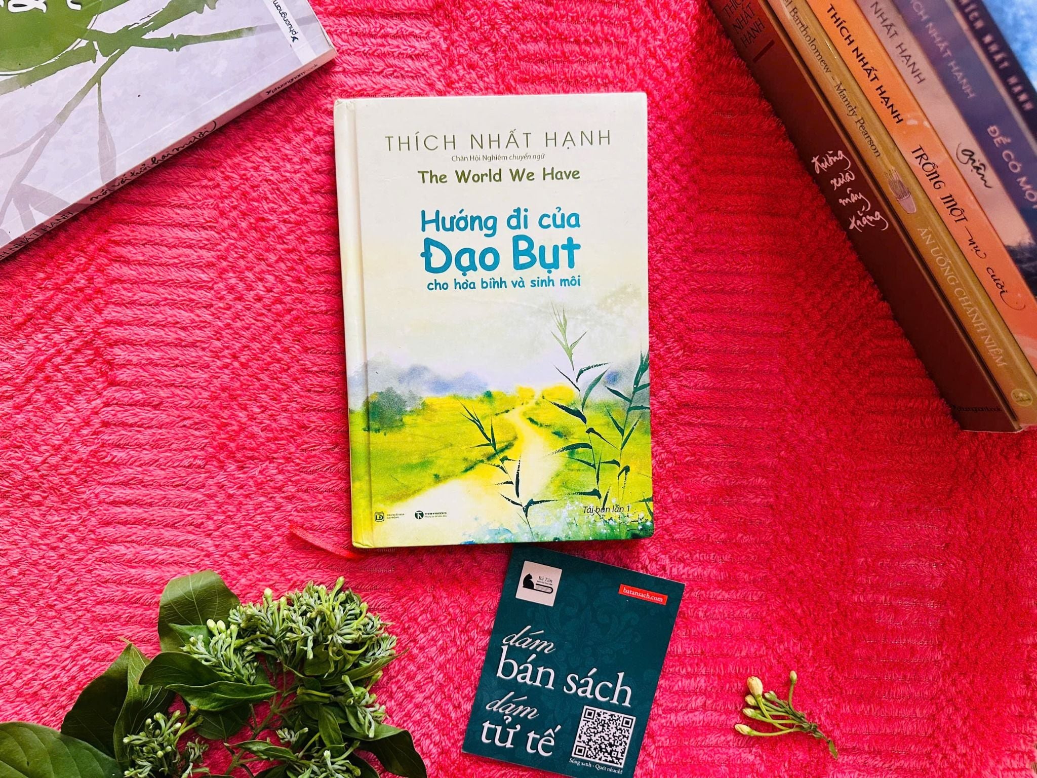  Hướng đi của đaoh bụt cho hoà bình và sinh môi - Thích Nhất Hạnh 