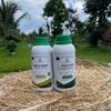 Combo Siêu Kéo Đọt GEGA Giúp Cây Bung Đọt Khỏe, Chuyên Kéo Đọt Khỏe, Dưỡng Lá Xanh Dày, Phục Hồi Nhanh Sau Thu Hoạch