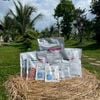 Combo Tạo Mầm Hoa (PHOS89, MKP, COMBI) – Xử Lý Ra Hoa Nghịch Vụ , Phân Hóa Mầm Hoa Nhanh