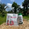 Combo Nuôi Trái Bóng Đẹp – Phân Bón Lá GEGA Amino Combi Rong Biển + KS Plus Giúp Trái Chắc Ruột,Ngọt Đậm