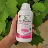 [COMBO 5 TẶNG 1] AGRI-PHOS 820 GEGA Phân bón kích kháng ngăn nấm bệnh dưỡng rễ tạo mầm hoa dưỡng lá xanh