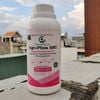 [COMBO 5 TẶNG 1] AGRI-PHOS 820 GEGA Phân bón kích kháng ngăn nấm bệnh dưỡng rễ tạo mầm hoa dưỡng lá xanh