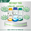 Combo Siêu Chống Sốc, Chống Rụng Hoa Đậu Trái Non GEGA CANXIBO/AMINO COMBI/BRASS SEA hạn chế nứt trái rụng hoa, trái trong thời tiết khắc nghiệt (Pha 2 Phuy)