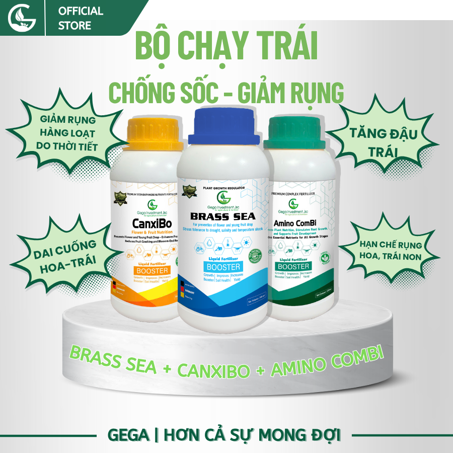 Combo Chống Sốc, Chống Rụng Hoa Đậu Trái Non GEGA CANXIBO/AMINO COMBI/BRASS SEA hạn chế nứt trái rụng hoa, trái trong thời tiết khắc nghiệt (Pha 2 Phuy)