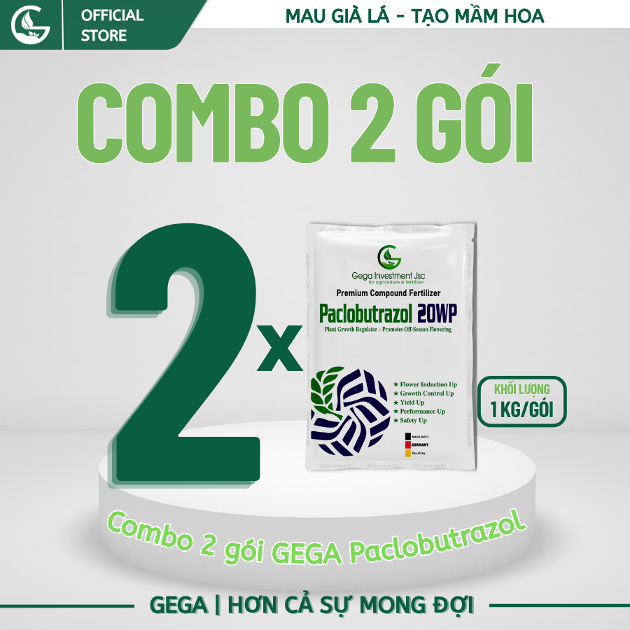 2 Gói PACLOBUTRAZOL 20WP GEGA 1KG– Phân hóa mầm mạnh, xử lý ra hoa, khống chế đọt, chuyên làm hoa mùa nghịch