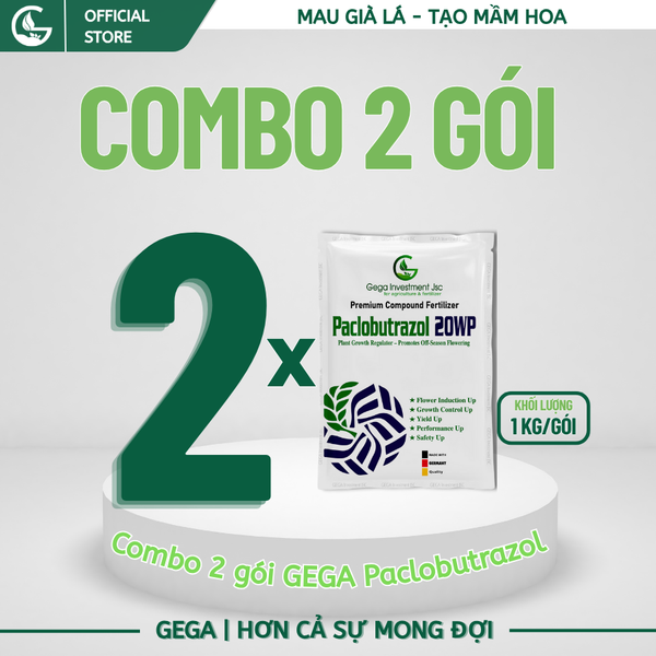 2 Gói PACLOBUTRAZOL 20WP GEGA 1KG– Phân hóa mầm mạnh, xử lý ra hoa, khống chế đọt, chuyên làm hoa mùa nghịch