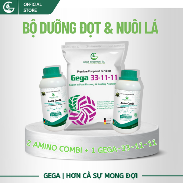 Combo Siêu Dưỡng Đọt – Nuôi Lá GEGA Giúp Cây Bung Đọt Khỏe, Dưỡng Lá Xanh Dày