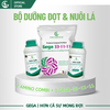 Combo Siêu Dưỡng Đọt – Nuôi Lá GEGA Giúp Cây Bung Đọt Khỏe, Dưỡng Lá Xanh Dày