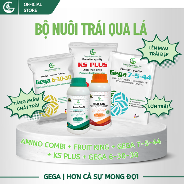 Combo Nuôi Trái Bóng Đẹp – Phân Bón Lá GEGA Giúp Trái To,Chắc Ruột,Ngọt Đậm có 4 combo(Pha 2 Phuy)