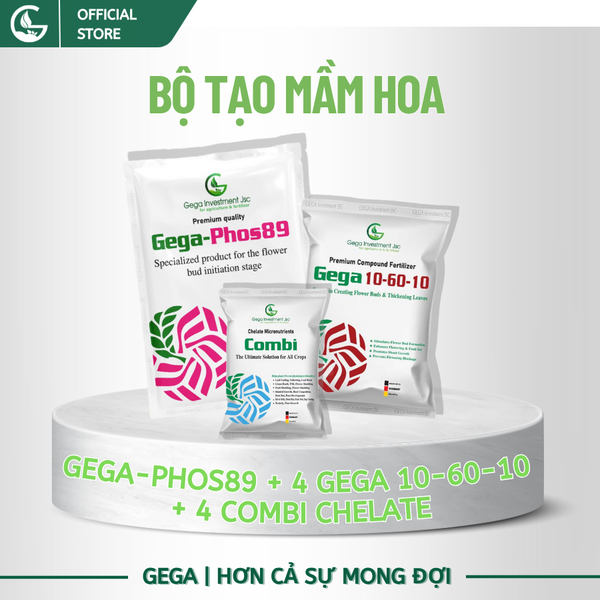 Combo Chuyên Tạo Mầm Hoa  – Xử Lý Ra Hoa Nghịch Vụ , Phân Hóa Mầm Hoa Nhanh (PHOS89, 10-60-10, COMBI)