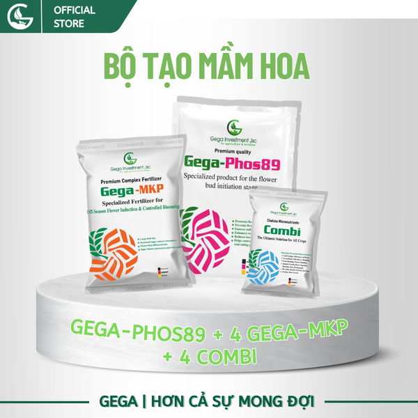 Combo Tạo Mầm Hoa (PHOS89, MKP, COMBI) – Xử Lý Ra Hoa Nghịch Vụ , Phân Hóa Mầm Hoa Nhanh