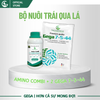Combo Nuôi Trái Bóng Đẹp – Phân Bón Lá GEGA Giúp Trái To,Chắc Ruột,Ngọt Đậm có 4 combo(Pha 2 Phuy)