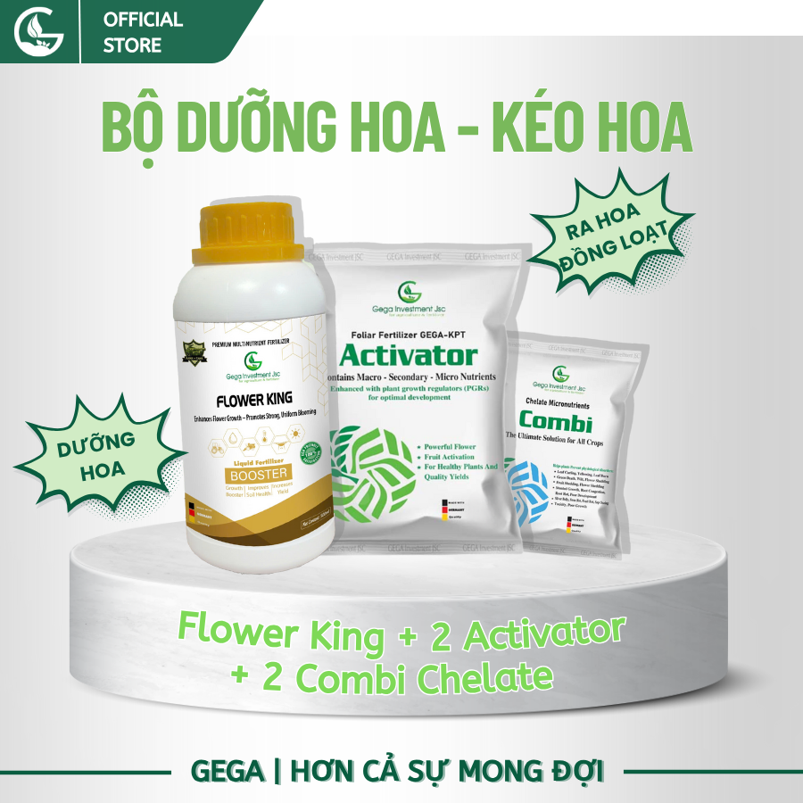 Combo Chuyên Dưỡng Hoa – Kéo Hoa GEGA Flower King + 2Activator + 2Combi – Bung hoa mạnh – Hoa nở đều – Tăng tỷ lệ đậu trái cực cao