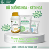 Combo Chuyên Dưỡng Hoa – Kéo Hoa GEGA Flower King + 2Activator + 2Combi – Bung hoa mạnh – Hoa nở đều – Tăng tỷ lệ đậu trái cực cao