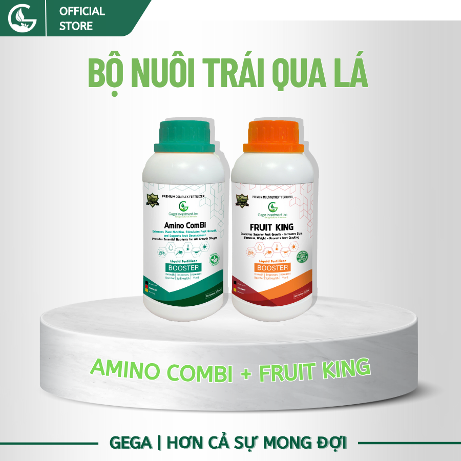 Combo Chuyên Dưỡng Trái Bóng Đẹp – Phân Bón Lá GEGA Amino Combi Rong Biển + Fruit King Giúp Trái To,Chắc Ruột,Ngọt Đậm có 4 combo(Pha 2 Phuy)