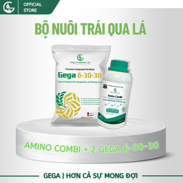Combo Nuôi Trái Bóng Đẹp – Phân Bón Lá GEGA Amino Combi + GEGA 6-30-30 Giúp Trái To,Chắc Ruột,Ngọt Đậm (Pha 2 Phuy)