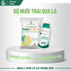 Combo Nuôi Trái Bóng Đẹp – Phân Bón Lá GEGA Amino Combi + GEGA 6-30-30 Giúp Trái To,Chắc Ruột,Ngọt Đậm (Pha 2 Phuy)