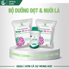 Combo Dưỡng Đọt – Nuôi Lá GEGA Giúp Cây Bung Đọt Khỏe, Dưỡng Lá Xanh Dày, Phục Hồi Nhanh Sau Thu Hoạch