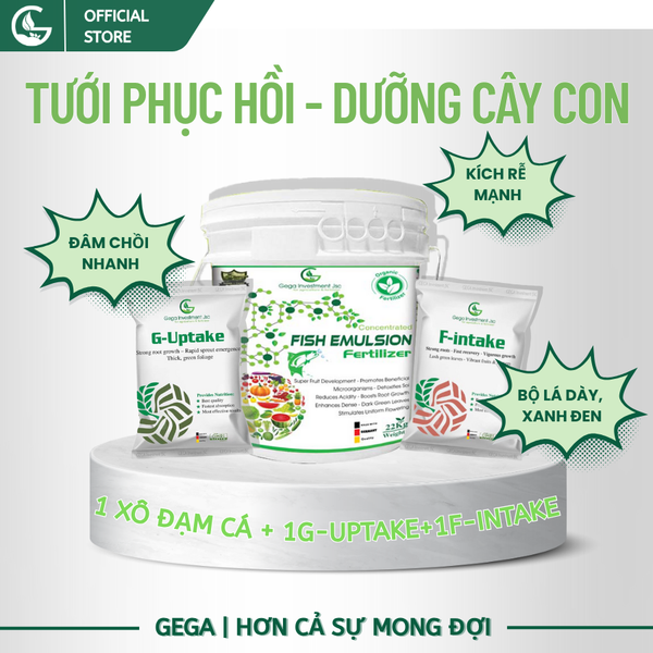 Combo ĐẠM CÁ GEGA & 1 GÓI G-UPTAKE + 1 GÓI F-INTAKE Tưới Phát triển Cây Con Cây Tơ