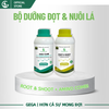 Combo Dưỡng Đọt – Nuôi Lá GEGA Giúp Cây Bung Đọt Khỏe, Dưỡng Lá Xanh Dày, Phục Hồi Nhanh Sau Thu Hoạch