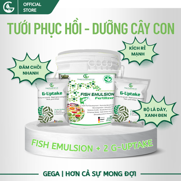 Combo Tưới Phát triển Cây ConCây Tơ Phục Hồi cây sau thu hoạch ĐẠM CÁ GEGA & 2 G-UPTAKE (Pha 13200L)