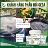 Combo Tưới Chuyên Nuôi Trái To Phân Bón GEGA BOOMING 12-11-18 & F-INTAKE Trái to đẹp đạt chuẩn (Pha 13200L)
