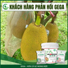 Combo Tưới Chuyên Nuôi Trái To Phân Bón GEGA BOOMING 12-11-18 & F-INTAKE Trái to đẹp đạt chuẩn (Pha 13200L)