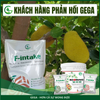 Combo Tưới Chuyên Nuôi Trái To Phân Bón GEGA BOOMING 12-11-18 & F-INTAKE Trái to đẹp đạt chuẩn (Pha 13200L)