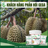 Combo Tưới Nuôi Trái To Phân Bón GEGA BOOMING 12-11-18 + F-INTAKE & G-UPTAKE Trái to đẹp đạt chuẩn