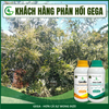 Combo Chuyên Chống Rụng Hoa Đậu Trái Tốt GEGA CANXIBO & AMINO COMBI RONG BIỂN hạn chế nứt trái (Pha 2 Phuy)