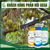 Combo Chống Sốc, Chống Rụng Hoa Đậu Trái Non GEGA CANXIBO/AMINO COMBI/BRASS SEA hạn chế nứt trái rụng hoa, trái trong thời tiết khắc nghiệt (Pha 2 Phuy)