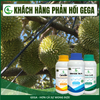 Combo Siêu Chống Sốc, Chống Rụng Hoa Đậu Trái Non GEGA CANXIBO/AMINO COMBI/BRASS SEA hạn chế nứt trái rụng hoa, trái trong thời tiết khắc nghiệt (Pha 2 Phuy)