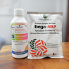 Combo GEGA Chuyên Chặn Đọt Sầu Riêng Hexaconazole 110SC & MKP – Chặn đọt mạnh, giữ tán, dưỡng bông, nuôi trái hiệu quả