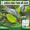 Combo Siêu Kéo Đọt GEGA Giúp Cây Bung Đọt Khỏe, Chuyên Kéo Đọt Khỏe, Dưỡng Lá Xanh Dày, Phục Hồi Nhanh Sau Thu Hoạch