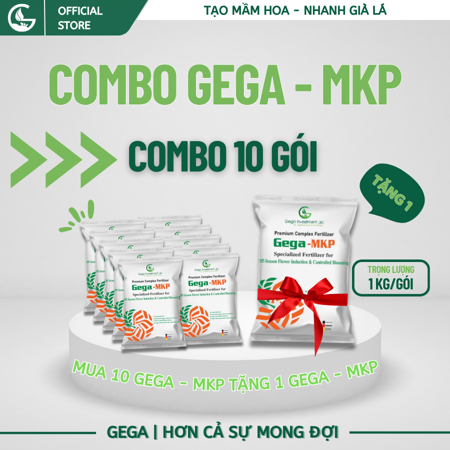 [COMBO 10 TẶNG 1] GEGA-MKP – Gói 1kg Phân bón tạo mầm hoa nghịch vụ kích hoa làm dày lá già lá