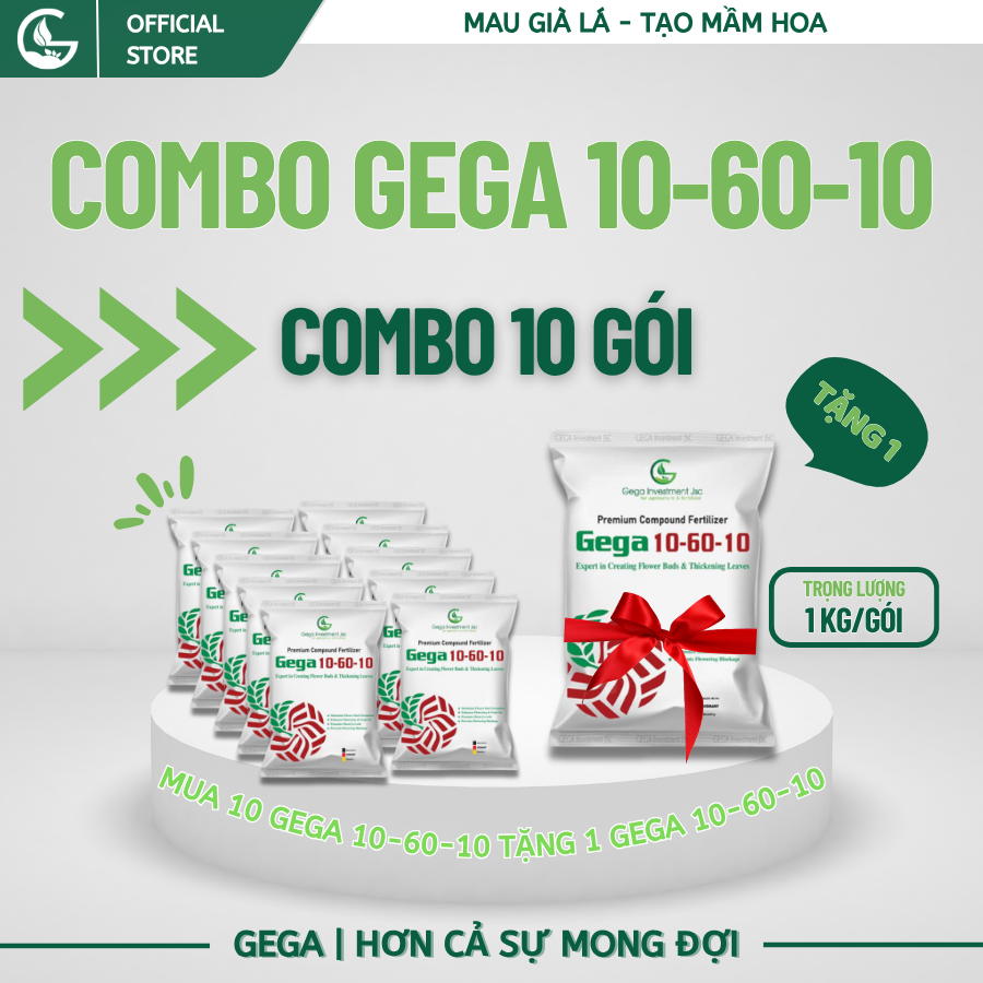 [COMBO 10 TẶNG 1] GEGA 10-60-10 – Gói 1Kg Phân bón tạo mầm hoa kích ra hoa mùa nghịch