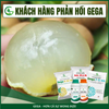 Combo Chuyên Dưỡng Trái Bóng Đẹp – Phân Bón Lá GEGA Amino Combi Rong Biển + Fruit King Giúp Trái To,Chắc Ruột,Ngọt Đậm có 4 combo(Pha 2 Phuy)