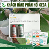Combo Chuyên Dưỡng Trái Bóng Đẹp – Phân Bón Lá GEGA Amino Combi Rong Biển + Fruit King Giúp Trái To,Chắc Ruột,Ngọt Đậm có 4 combo(Pha 2 Phuy)