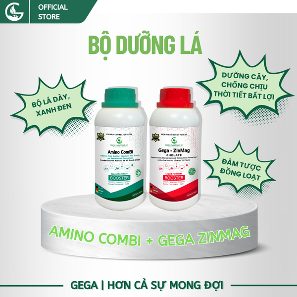 Combo Chuyên Dưỡng Lá Xanh Dày, Đen Bóng – GEGA AMINO RONG BIỂN+ZINMAG Magie Kẽm, Cây Khỏe Đẹp (Pha 2 Phuy)
