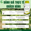 Combo Siêu Kéo Đọt GEGA Giúp Cây Bung Đọt Khỏe, Chuyên Kéo Đọt Khỏe, Dưỡng Lá Xanh Dày, Phục Hồi Nhanh Sau Thu Hoạch