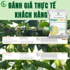 2 Gói GEGA 6-30-30 (250g)- Chuyên Gia Nuôi Trái Và Cây Lấy Củ-Tăng Phẩm Chất Và Chất Lượng Trái-Mau Già Lá