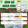 Combo Chuyên Dưỡng Hoa – Kéo Hoa GEGA Flower King + 2Activator + 2Combi – Bung hoa mạnh – Hoa nở đều – Tăng tỷ lệ đậu trái cực cao