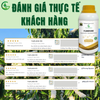 Combo Chuyên Dưỡng Hoa – Kéo Hoa GEGA Flower King + 2Activator + 2Combi – Bung hoa mạnh – Hoa nở đều – Tăng tỷ lệ đậu trái cực cao